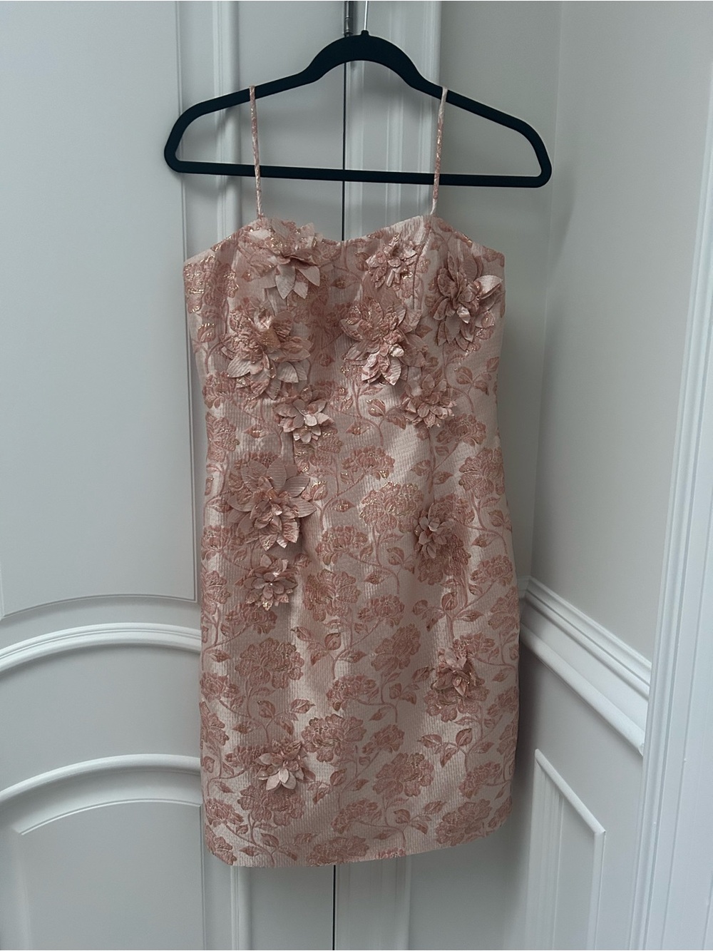 Terani Couture Blush Floral 3D Appliqué Mini Dress